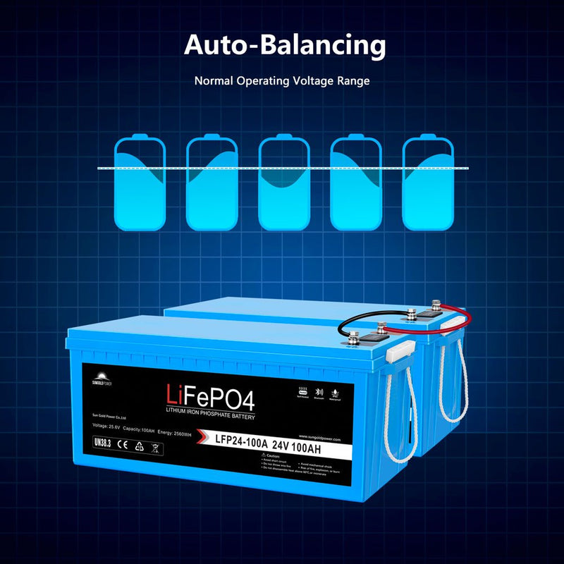 Sungold Power | 2 X 24V 100Ah LiFePO4 Deep Cycle Lithium Battery | Bluetooth / Self-Heating / IP65