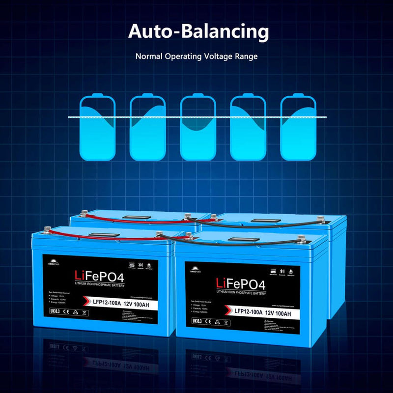 Sungold Power | 2 X 12V 100Ah LiFePO4 Deep Cycle Lithium Battery | Bluetooth / Self-Heating